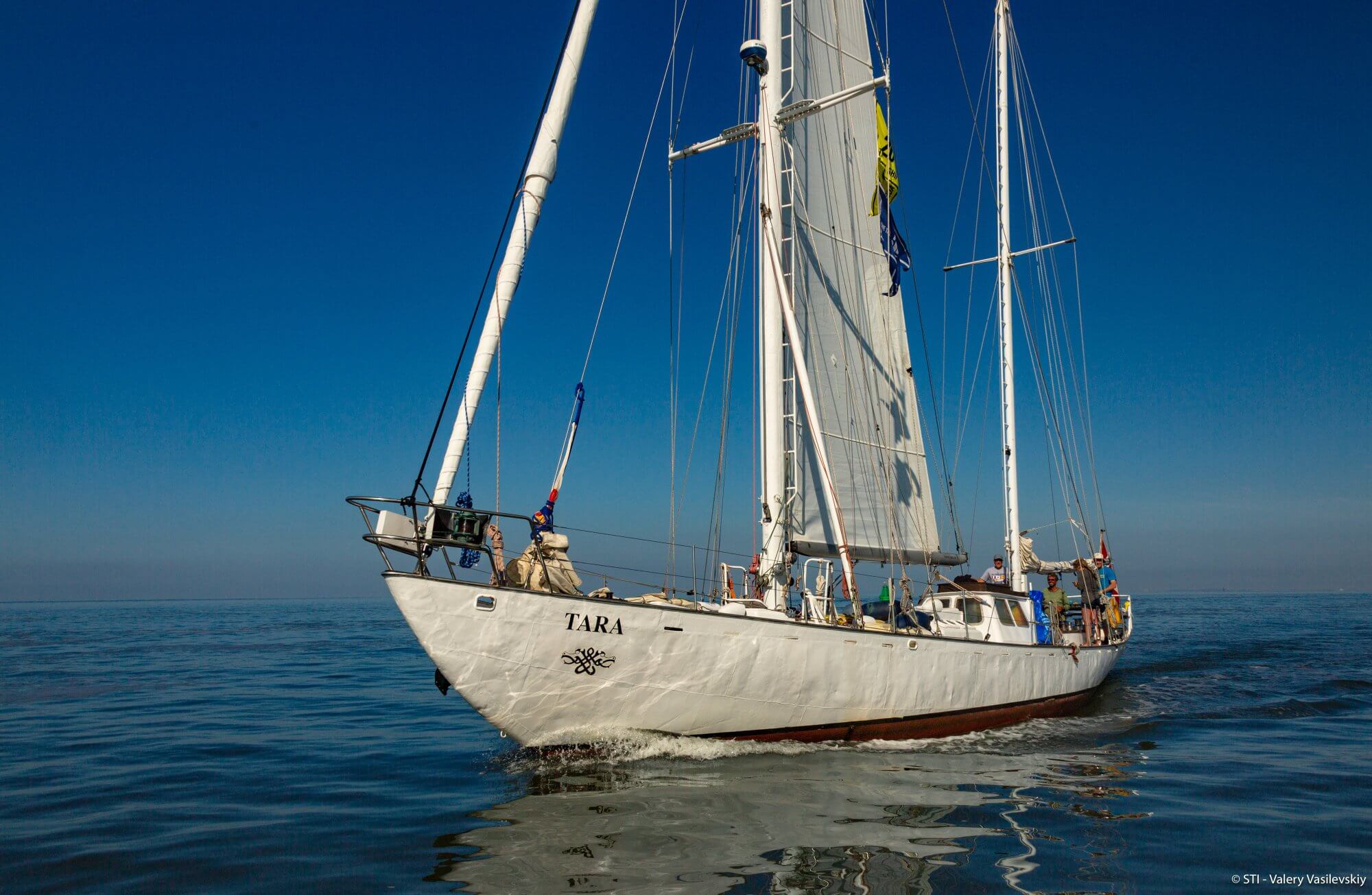 zeilschip Tara - The Tall Ships Races 2022