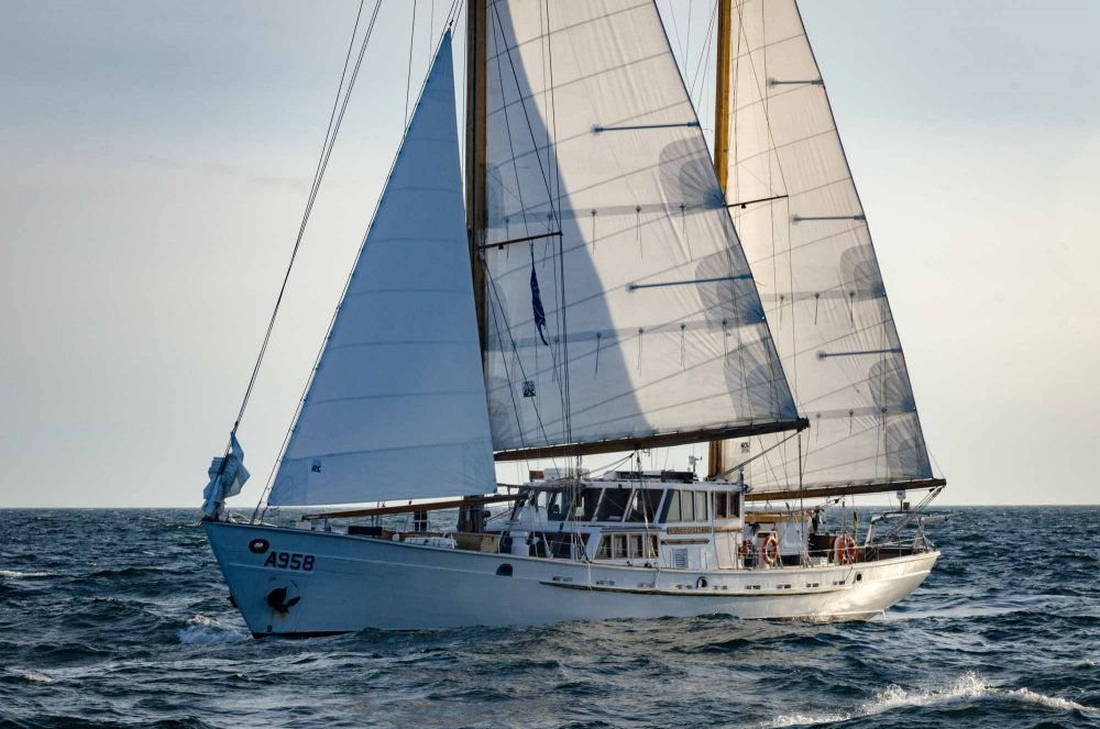 zeilschip Zenobe Gramme - The Tall Ships Races 2022