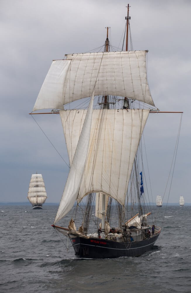 zeilschip Wylde Swan - The Tall Ships Races 2022